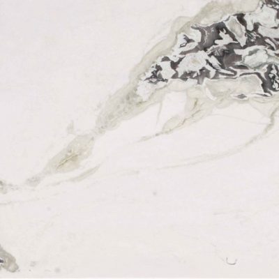 dove-white1 dove-white1